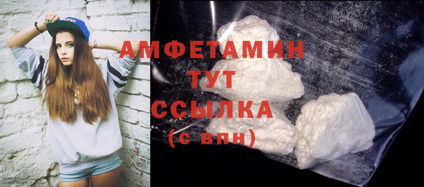 шишки Балахна