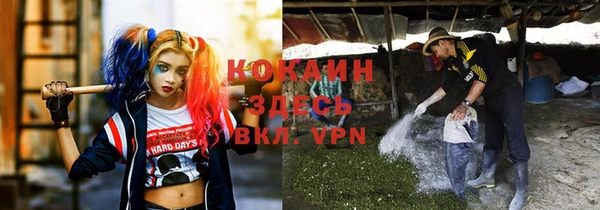 шишки Балахна