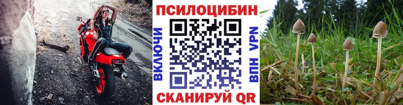 продажа наркотиков  Октябрьск  Галлюциногенные грибы GOLDEN TEACHER 